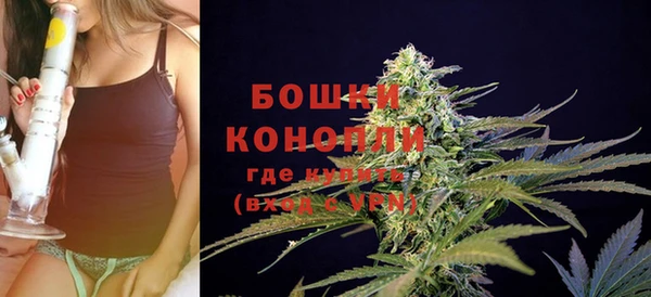 соль ск Белокуриха
